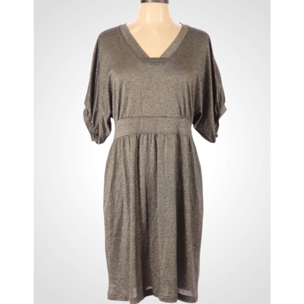 Anthropologie Left Of Center God Metallic Puffed Short Sleeve Dress Large